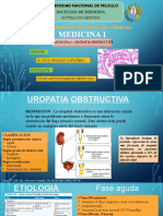 UROPATIA-OBSTRUCTIVA.pptx