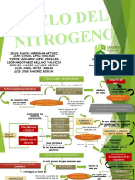 CICLO DE NITROGENO.pptx