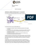 Tarea 1.5 Texto Paralelo