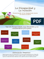 Discapacidad final