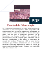 Informe Ponentes