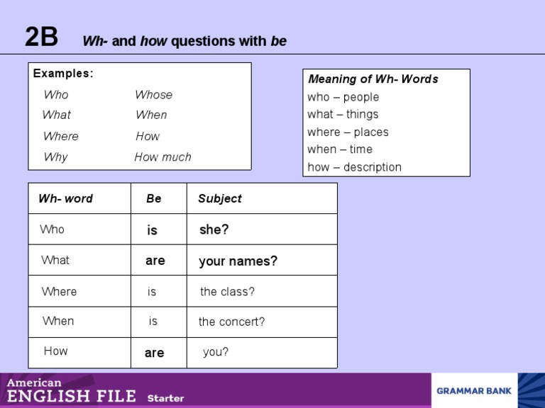 Wh-And How Questions With Be: Meaning of WH - Words | PDF | Language ...
