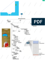 Cornea Mapa Mental