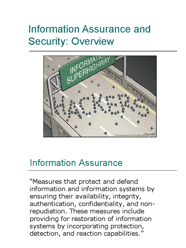 Information Assurance and Security: Overview | PDF | Vulnerability