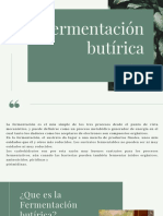 Fermentacion Butirica