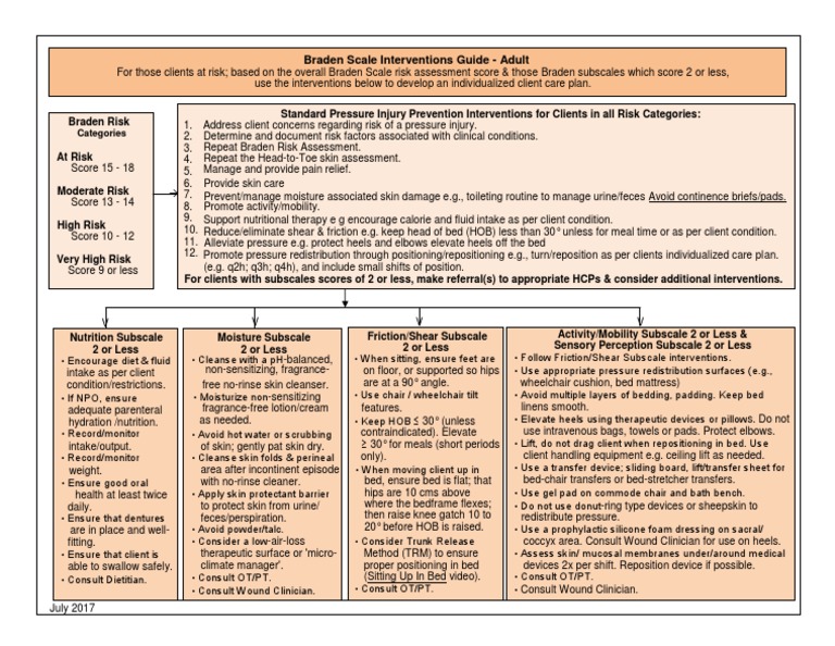 Braden Scale Interventions Guide PDF Wheelchair Risk
