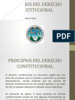 Principios del Derecho Constitucional