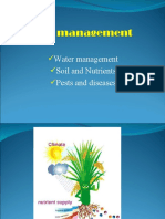 Water Management Soil and Nutrients Pests and Diseases