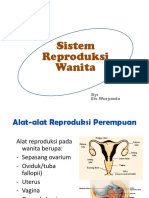 Reproduksi Wanita