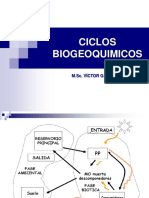 Ciclos Biogeoquímicos Llamas