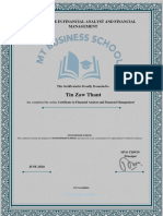 024 - Financial Analyst and Financial Management Certificate - TZT PDF