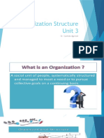Organization Structure (Unit 3 Notes)