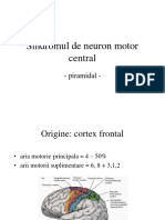 NEURO Combinat PDF