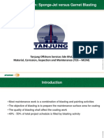 Cost Comparison: Sponge-Jet Versus Garnet Blasting: Prepared by