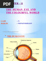 Human Eye and Vision Defects Guide | PDF | Eye | Sunset