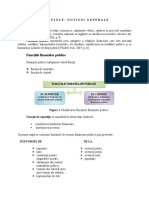 Tema 1 - Finante - MK