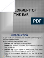 DEVELOPMENT OF THE EAR