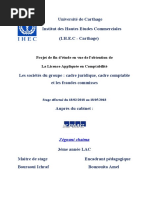 rapport-final