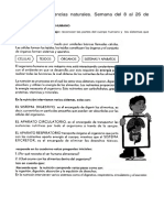 Taller de Laboratorio de Ciencias PDF