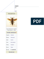 Asian Giant Hornet: Jump To Navigationjump To Search