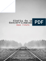 Diario de Un Descarrilamiento - Dani Rivera