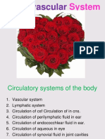 1st-week-Cardiovascular-system-1st-year-1.1.pdf