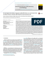 Terraneo2014 PDF