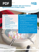 Beef Cow Synchronization Protocols | PDF | Cattle | Land Management