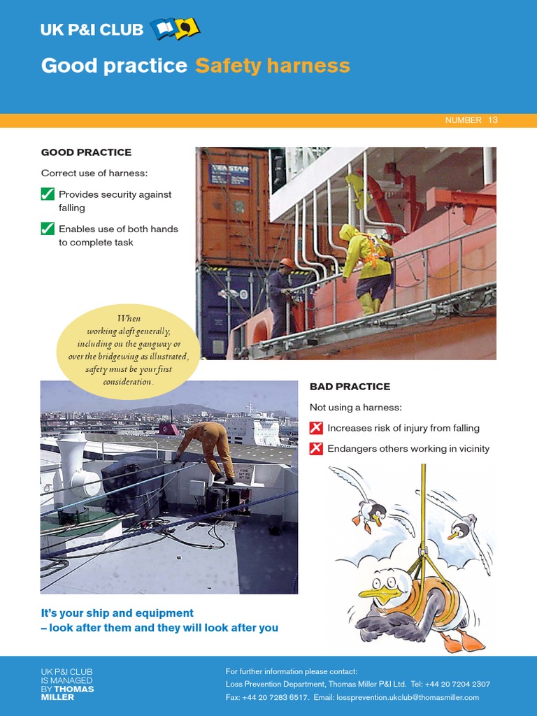 13.safety Harness PDF | PDF