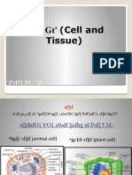 SF) If / TGT' (Cell and Tissue) : Psfo M - !&