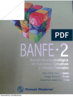 manual banfe 2