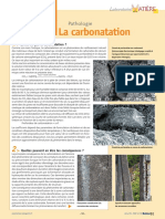 carbonatation-carde.pdf
