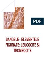 Sangele - Elementele Figurate: Leucocite Si Trombocite