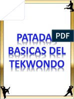 Patadas Basicas Del Taekwondo