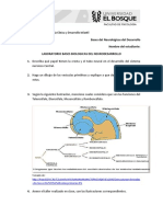 Laboratorio de Neurodesarrollo