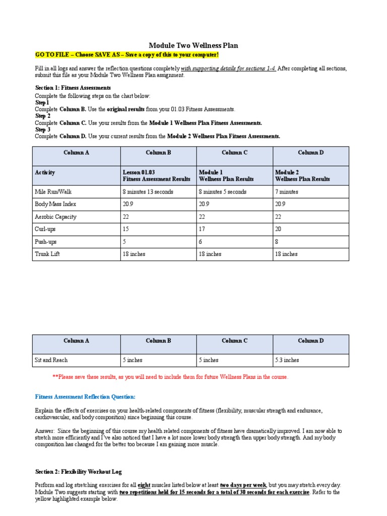 Module Two Wellness Plan Assignment | PDF | Physical Fitness | Physical ...