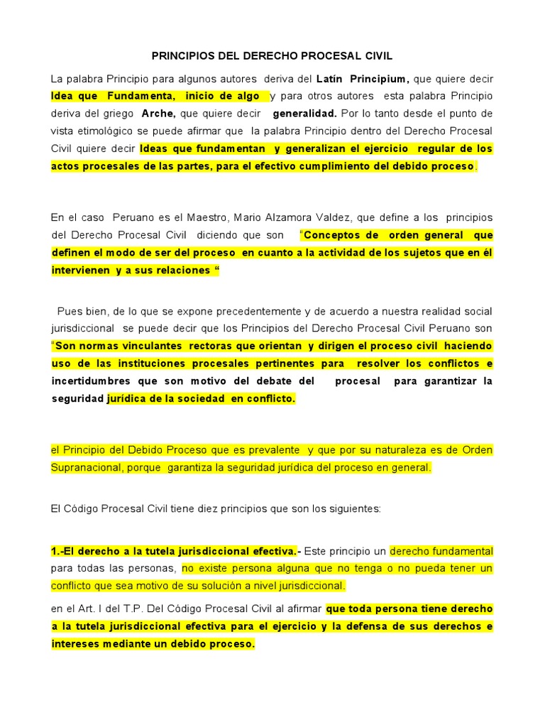 Principios del Derecho Procesal Civil | PDF | Ley procesal | Debido al ...
