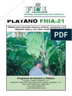 Fhia 21 PDF