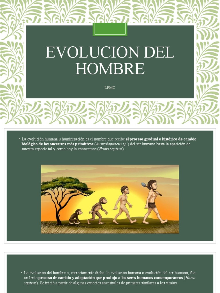Evolucion Del Hombre | PDF | Homo | Evolución humana