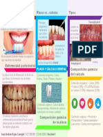 Placa y Cálculo Dental