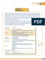 14 Profesor y Sus Influencias FINAL PDF