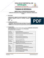 RTM SERVICIO DEL ESTRUCTURA METALICA CCAMANOCCA -ULTIMO.docx