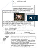 Tarea Semanal 5 Nombre