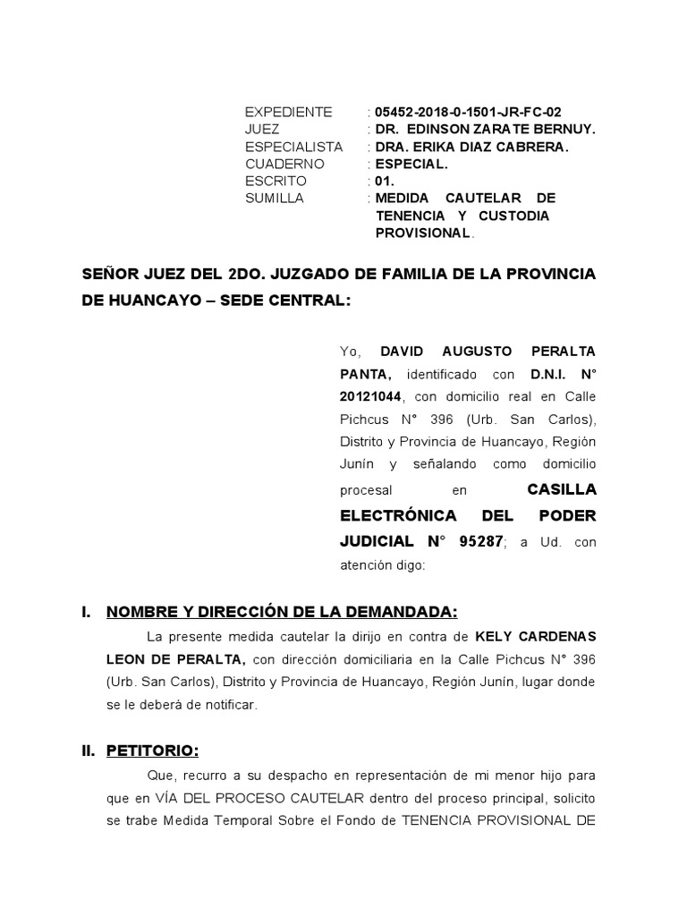 Medida Cautelar de Tenencia y Custodia Provisional | PDF | Mandato |  Sicología