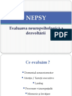 Seminar 7 & 8. Nepsy - Seminar