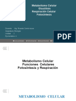 Unidad 2. Eje Temático 4. Metabolismo Celulares Fotosíntesis y Respiración