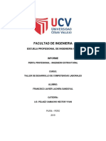 Informe CompetenciaLaboralpdf PDF
