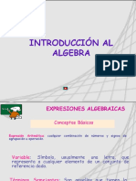 7 Introduccion Al Algebra