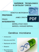 Genética Bacteriana 11