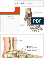 Fichier Produit 2244